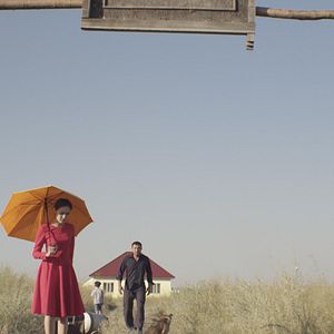 Foto The Gentle Indifference of the World