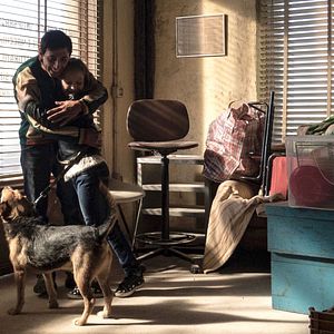 Foto El despertar de la fiera - Dogman