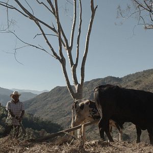 Foto El Maíz en Tiempos de Guerra