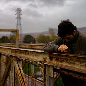 Foto El peral silvestre