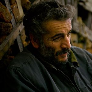 Foto El peral silvestre