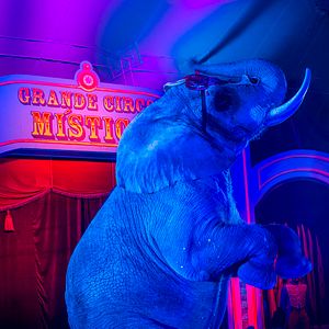 Foto O grande circo místico