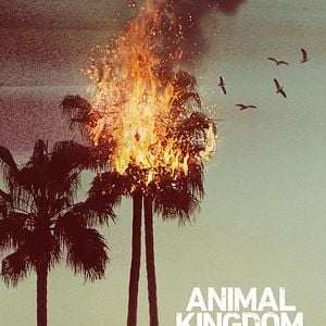 Foto Instinto Animal