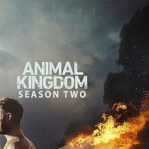 Foto Instinto Animal