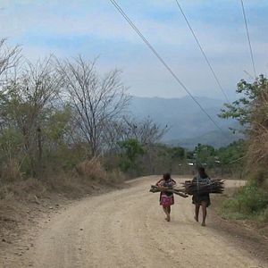 Foto Siempre andamos caminando