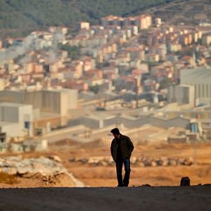 Foto El peral silvestre