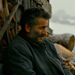 Foto El peral silvestre