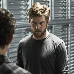 Foto Instinto Animal