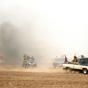 Foto Pájaros de Verano