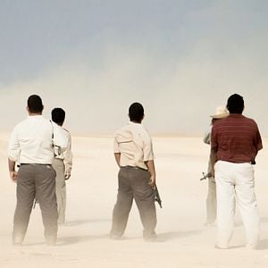 Foto Pájaros de Verano