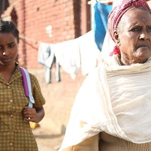 Foto El árbol de Higo