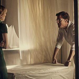 Foto Animales sin collar