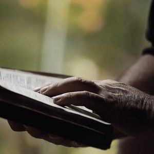 Foto Nosotros las piedras