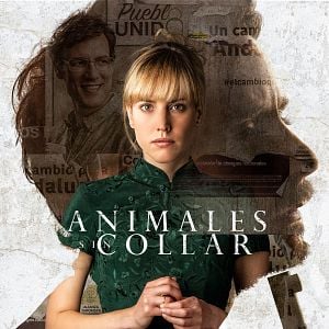 Foto Animales sin collar