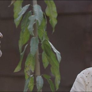 Foto La Música de las Esferas