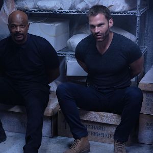 Foto Seann William Scott