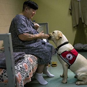 Foto Orange is the new Black