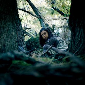 Foto Criaturas nocturnas