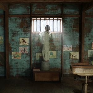 Foto Criaturas nocturnas