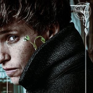 Foto Animales fantásticos: Los crímenes de Grindelwald