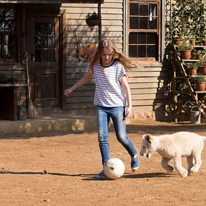 Foto Mi mascota es un león