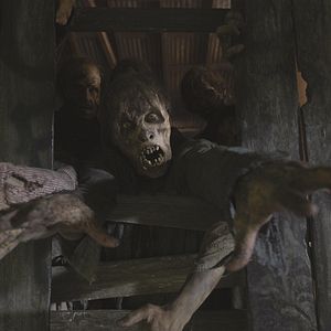 Foto The Walking Dead