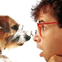 Foto Querida, encogí a los niños