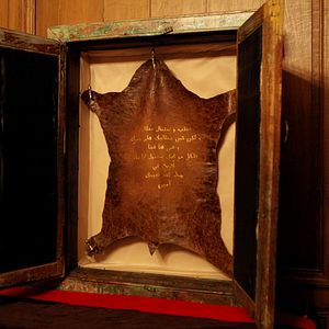 Foto The Skin of Sorrow