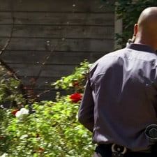 Foto Mentes criminales