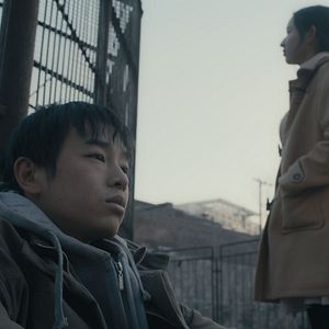 Foto Un elefante sentado y quieto