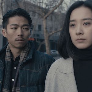 Foto Un elefante sentado y quieto