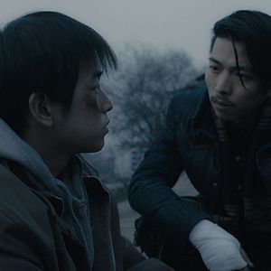 Foto Un elefante sentado y quieto