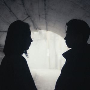 Foto Un elefante sentado y quieto