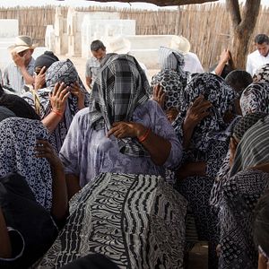 Foto Pájaros de Verano