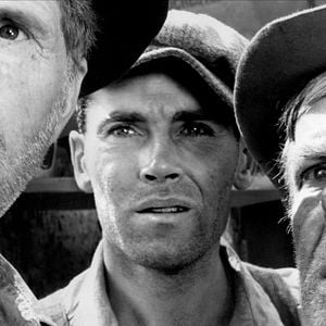 Foto Las uvas de la ira