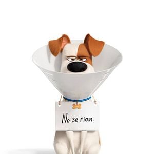 Foto La vida secreta de tus mascotas 2