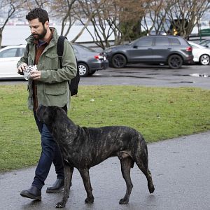 Foto A Million Little Things