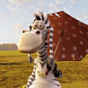 Foto Agente 00 - gato