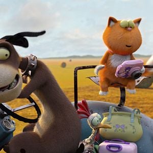 Foto Agente 00 - gato