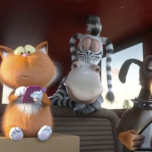 Foto Agente 00 - gato