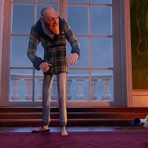 Foto Corgi: Un perro real