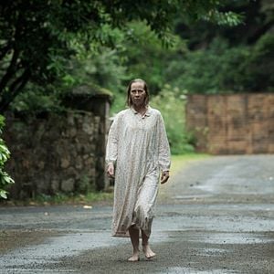 Foto El bosque maldito