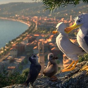 Foto Pajaritos a volar