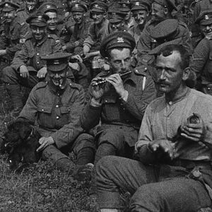 Foto Jamás llegarán a viejos