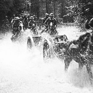 Foto Jamás llegarán a viejos