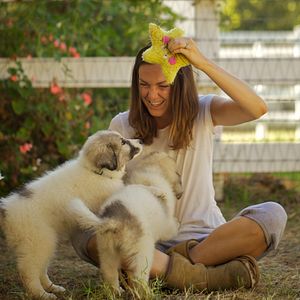 Foto The Biggest Little Farm