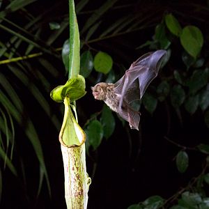 Foto Nuestro Planeta