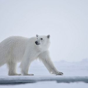 Foto Nuestro Planeta