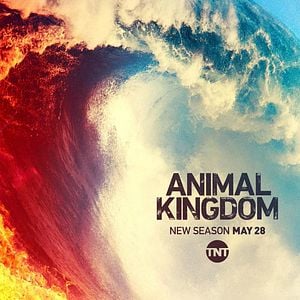 Foto Instinto Animal