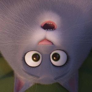 Foto La vida secreta de tus mascotas 2